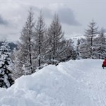Auf flotten Kufen zurück nach Meransen