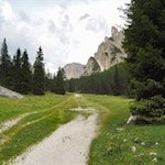 In den Wiesen des Langentals gedeihen zahlreiche Blumen