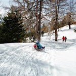 Auf die Kufen, fertig, los!