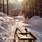 Rodeln vom Hofer Alpl