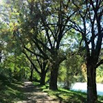 Entlang des Eisacks nach Albeins