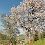 Frühlingswanderung nach St. Konstantin