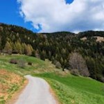 Durch Wiesen und Wälder zu den Erdpyramiden bei Percha