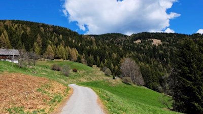 Durch Wiesen und Wälder zu den Erdpyramiden bei Percha