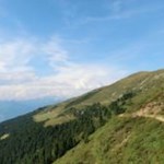 Sanft schlängelt sich der Panoramaweg in Richtung Ochsenalm