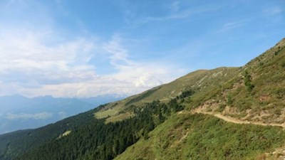 Sanft schlängelt sich der Panoramaweg in Richtung Ochsenalm