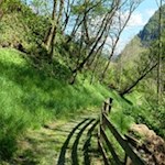 Durch grüne Wiesen zurück zum Ausgangspunkt