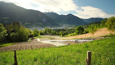 Blick auf die Bischofsstadt Brixen