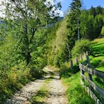 Der erste Teil des Weges führt durch grüne Wiesen