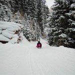 Auf flotten Kufen zurück ins Tal