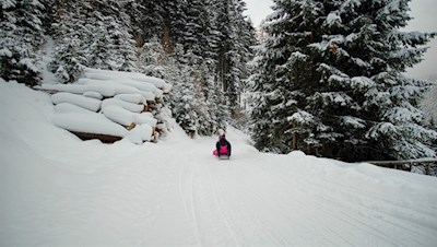 Auf flotten Kufen zurück ins Tal