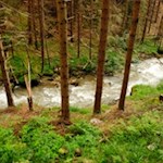 Der letzte Teil des Weges führt den plätschernden Valler Bach entlang