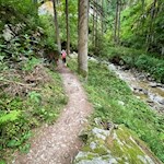 Entlang des Grünbachs zum Issinger Weiher