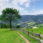 Abstieg vom Hofer Alpl nach Ums