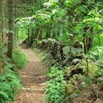 Die Wanderung auf die Spilucker Platte ist gut markiert