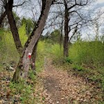 Über die baumbestandenen Hänge zum Fonteklaus