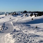 Sanft schlängelt sich der Wanderweg durch die bezaubernde Winterlandschaft zur Starkenfeldhütte