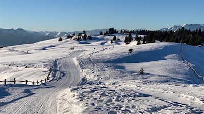Sanft schlängelt sich der Wanderweg durch die bezaubernde Winterlandschaft zur Starkenfeldhütte