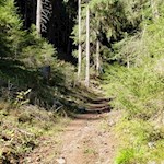 Zunächst wandert man durch den Wald