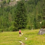 Von Cialciagn führt der Weg Nr. 1 zunächst durch sanfte Wiesen