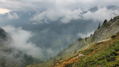 Der urwüchsige Weg zur Tribulaunhütte