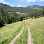 Durch grüne Wiesen schlängelt sich der Weg nach Mühlbach