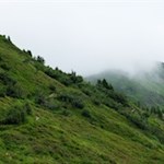 Durch naturbelassene Bergwiesen und Heiden auf den Hohen Lorenzenberg