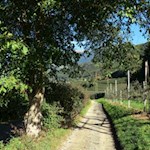 Wanderung von Brixen nach Albeins