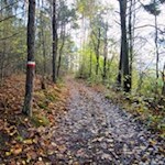 Unsere Wanderung ist gut markiert