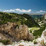 Lovely alpine flowers thrive on the stony slopes