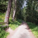 Zunächst steigt der Weg Nr. 2 durch den Wald an