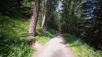 Zunächst steigt der Weg Nr. 2 durch den Wald an