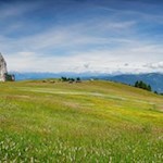 Die bezaubernden Almwiesen der Seiser Alm vor der Kulisse des Schlern