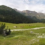 Almidyll im Langental