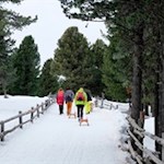 So mancher wandert zum Totenkirchl oder zur Stöfflhütte weiter