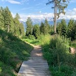 Der Familienwanderweg führt im sanften Anstieg durch den Wald