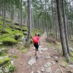 Durch den Wald zur Rotbachalm