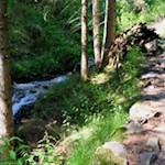 Neben dem Wanderpfad bahnt sich der Seebach seinen Weg ins Tal