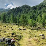 Durch Wiesen zurück zur Talstation des Sesselliftes