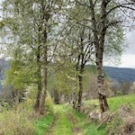 Von St. Martin zurück nach Kiens