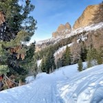 Winterwandern am Fuße des Rosengarten