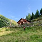 Plattner Alm Pfalzen