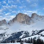 Rosengarten-im-Winterkleid