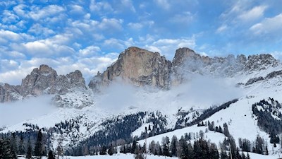 Rosengarten im Winterkleid