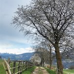 Auf dem Weg nach Pinzagen