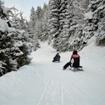 Vergnügliche-Abfahrt-auf-der-Rodelbahn-Ratschings