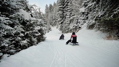 Vergnügliche Abfahrt auf der Rodelbahn Ratschings