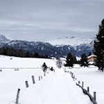 Von der Gasserhütte folgen wir zunächst dem Wanderweg Nr. 6/15 