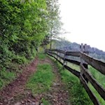 Durch Wiesen und Wälder...