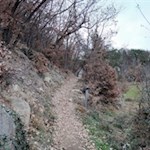 Durch einen Eichenhain nach Obervöls